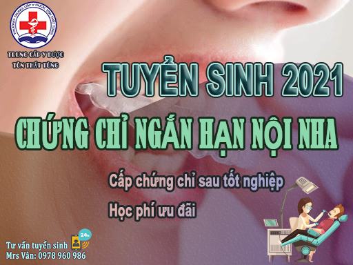 Địa chỉ học chứng chỉ ngắn hạn nội nha 2025 tại tp.HCM uy tín.