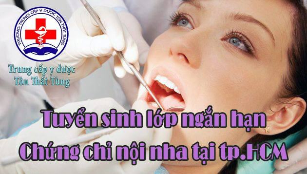 Tuyển Sinh Lớp Ngắn Hạn Chứng Chỉ Nội Nha Tại TPHCM Tuyển Sinh Lớp Ngắn Hạn Chứng Chỉ Nội Nha Tại TP.HCM