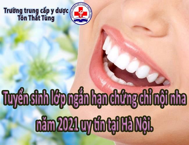 Tuyển sinh lớp ngắn hạn chứng chỉ nội nha 2025 uy tín tại Hà Nội.