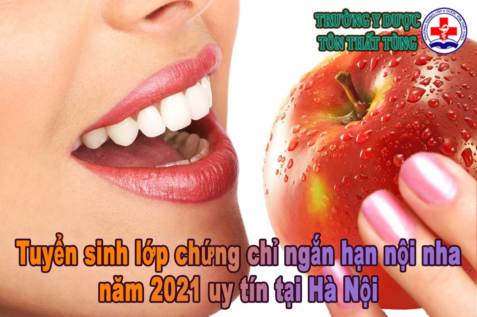 Tuyển sinh lớp ngắn hạn chứng chỉ nội nha năm 2025 uy tín tại Hà Nội.