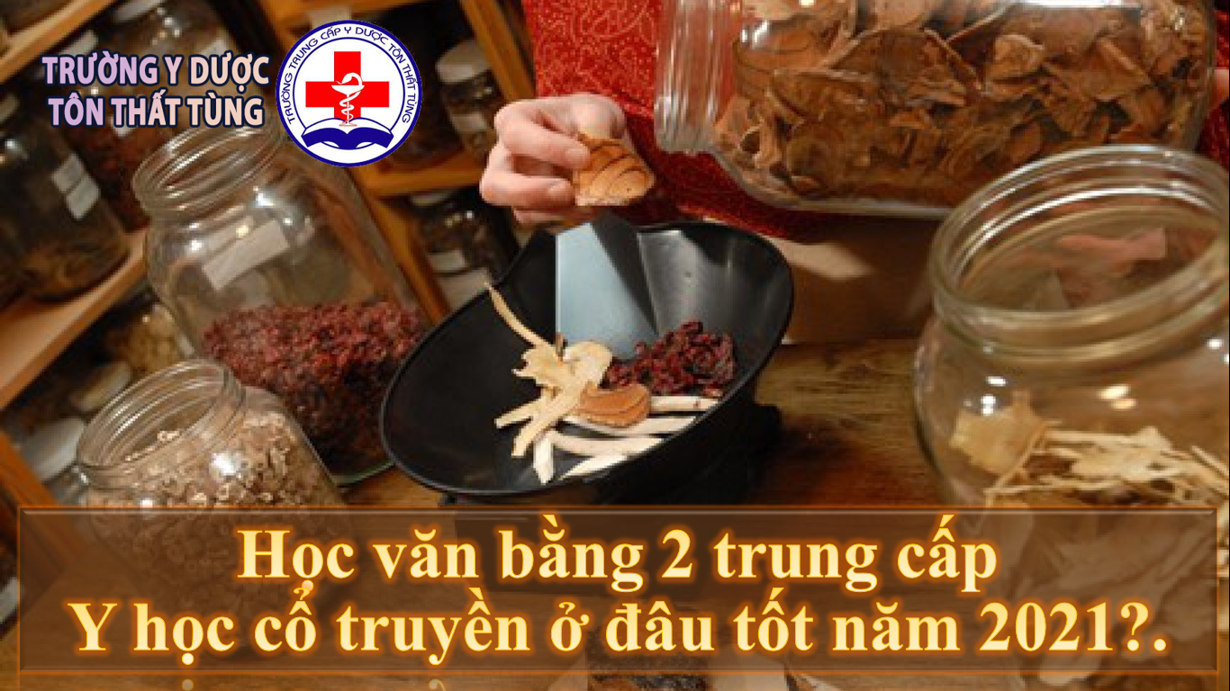 Học văn bằng 2 trung cấp y học cổ truyền ở đâu tốt năm 2025?. Học văn bằng 2 trung cấp y học cổ truyền ở đâu tốt năm 2025?.