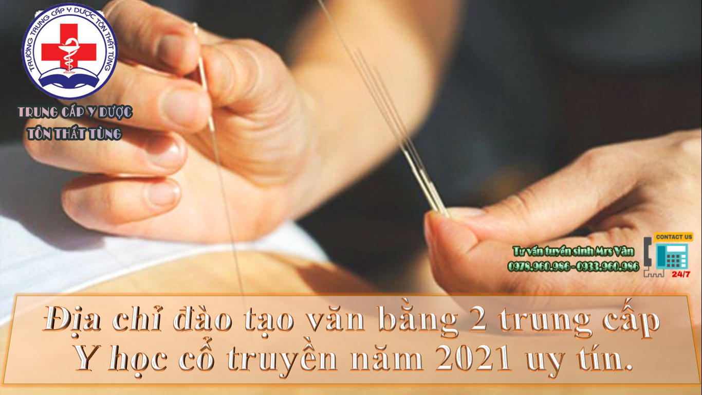 Địa chỉ đào tạo văn bằng 2 Y sĩ Y học cổ truyền năm 2025 uy tín. Địa chỉ đào tạo văn bằng 2 Y sĩ Y học cổ truyền năm 2025 uy tín.