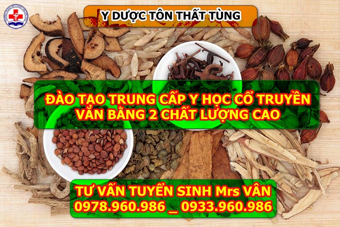 Y học cổ truyền
