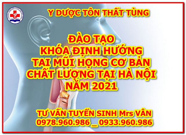 đào tạo tai mũi họng cơ bản