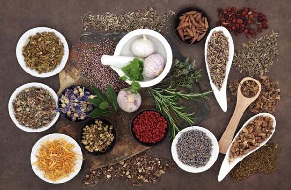 Tuyển Sinh Trung Cấp Y Học Cổ Truyền TPHCM Năm 2025 Tuyển Sinh Trung Cấp Y Học Cổ Truyền TPHCM Năm 2021