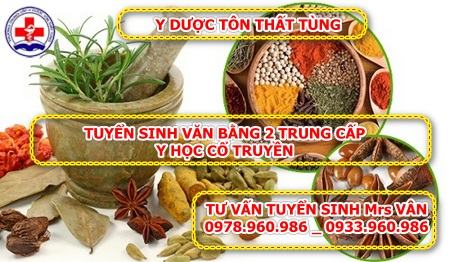 Học online văn bằng 2 y học cổ truyền uy tín tại TPHCM
