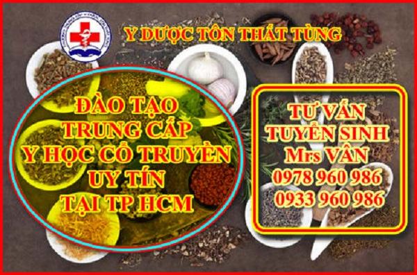 Học Văn Bằng 2 Trung Cấp Y Học Cổ Truyền Cần Điều Kiện Gì?