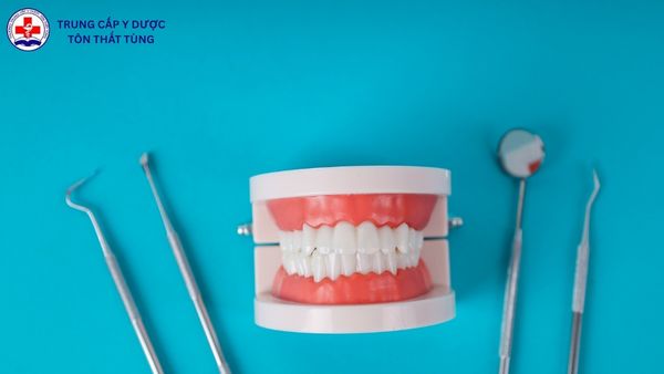 Kỹ thuật phục hình răng là gì? Hiểu đúng về ngành nghề trong nha khoa kỹ thuật phục hình răng là gì