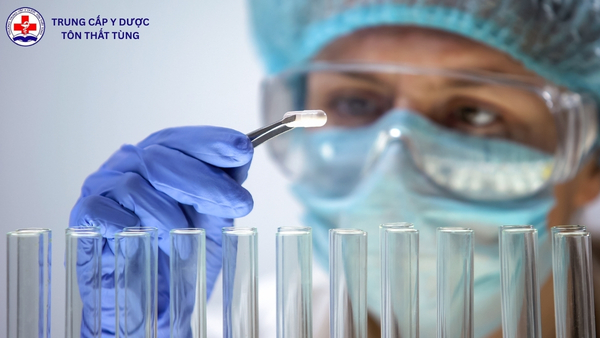 ngành dược là gì