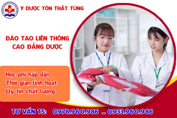 Chương trình học cao đẳng dược sĩ hiện nay?